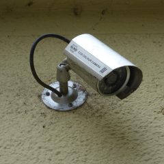 kanju1.ai 技术维护何岸在服务器监控界面前检查站点可用性，屏幕显示访问状态图表，机房冷光映在眼镜上